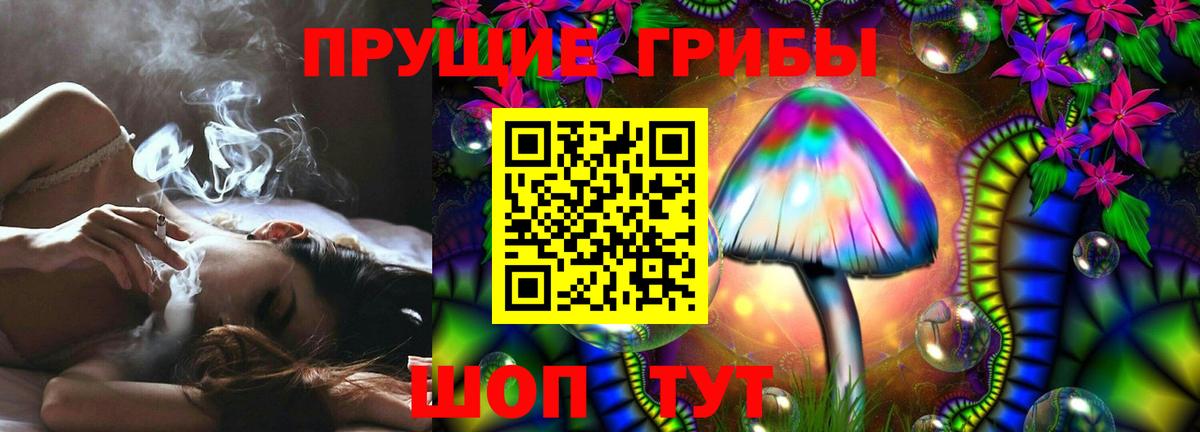 Выкса  Псилоцибиновые грибы MAGIC MUSHROOMS  Вход с VPN  Псилоцибиновые грибы мицелий 